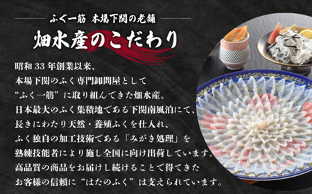 天然とらふぐ刺身セット 5～6人前 ふぐ ID