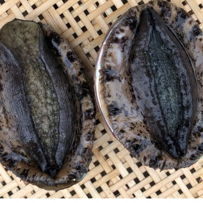 【金曜日発送】漁師直送!天然活黒アワビ1kg(2〜5枚)【配送不可地域：離島・北海道・沖縄県・東北・中国・四国・九州】【1532976】