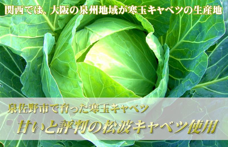 【期間限定】生餃子 50個セット【小分け 10パック 甘いと評判 松波キャベツ使用 冷凍餃子 焼くだけ 人気 惣菜】 010B1538
