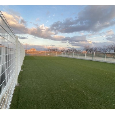 
殺処分ゼロを目指そう!ドックラン年間パスポート【1431640】
