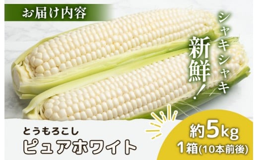 【先行予約】上原農場直送　有機栽培とうもろこし (ピュアホワイト) 約5kg 約10本前後