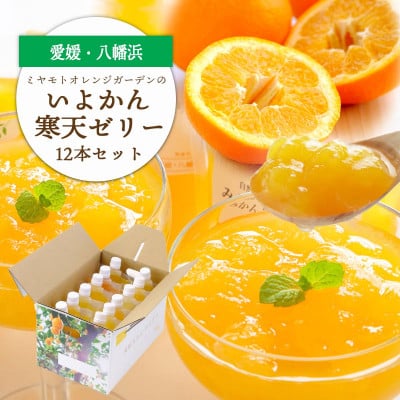 
            ゲル化剤・pH調整剤不使用!愛媛産 いよかん寒天ゼリー 12本セット＜D25-222＞【1628734】
          
