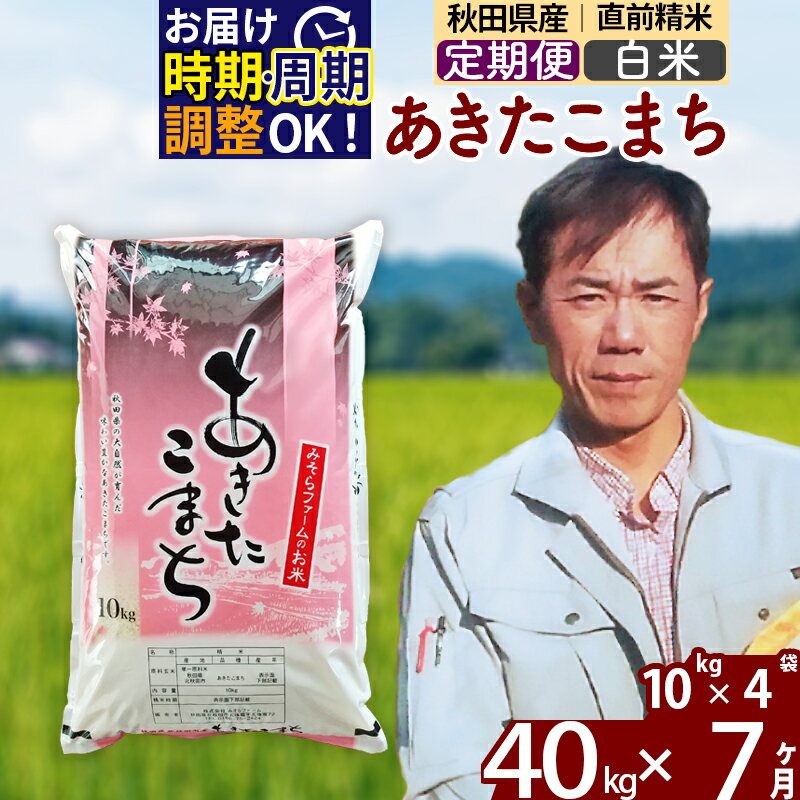 【ふるさと納税】※令和7年産※《定期便7ヶ月》秋田県産 あきたこまち 40kg【白米】(10kg袋) 2025年産 お届け時期選べる お届け周期調整可能 隔月に調整OK お米 みそらファーム