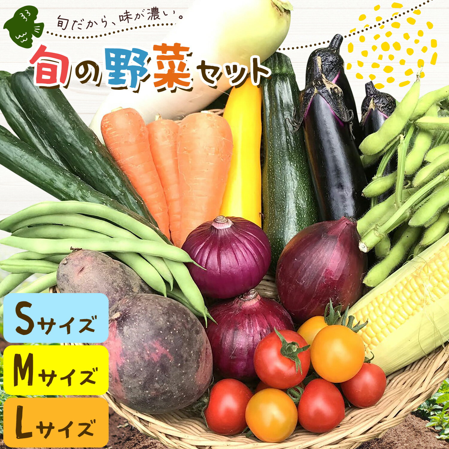 【ふるさと納税】野菜 旬の野菜セット Sサイズ 約6～7種 Mサイズ 約8～9種 Lサイズ 約10～11種 《30日以内に出荷予定(土日祝除く)》 ベジLIFE!! 【配送不可地域あり】(沖縄・離島) 季節の野菜 料理 甘い 採れたて トマト 新玉ねぎ じゃがいも キャベツ 白菜 千葉県 我孫子市