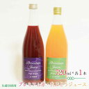 【ふるさと納税】プレミアム赤・白ぶどうジュース（720ml×各1本 計2本）《佐藤果樹園》 飲料類 果汁飲料 ぶどう ブドウジュース