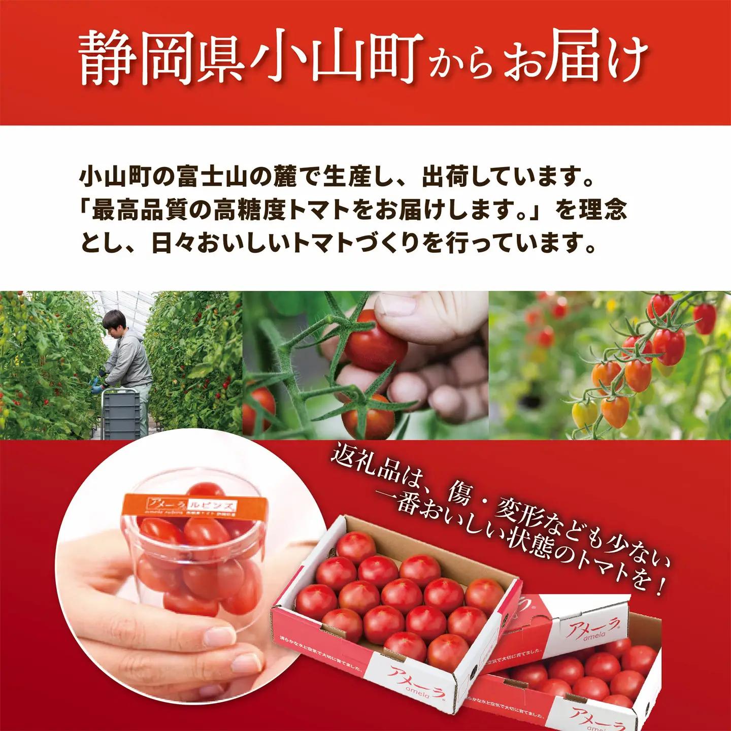 ミニトマト アメーラルビンズ 約60g×5P トマト