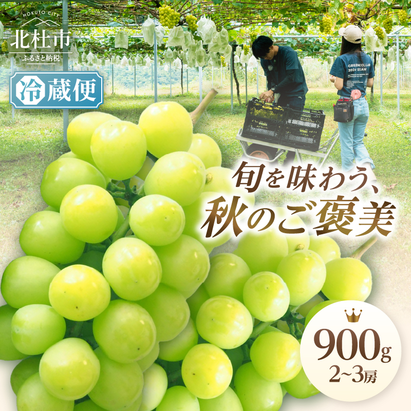【2026年発送】【期間限定】八ヶ岳南麓の天然水で育てたシャインマスカット 900g（2～3房)