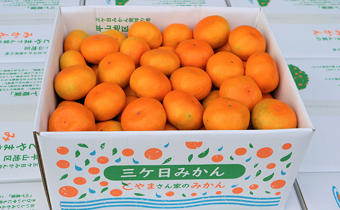 【2025年10月下旬より順次発送】三ヶ日みかん（極早生5kg）
