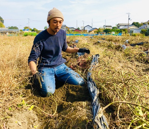 先行予約【訳あり】サツマイモ（シルクスイート）５ｋｇ 農薬化学肥料不使用（土付き）【R00103】