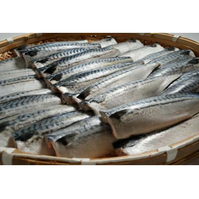 ふるさと納税 銚子市 適塩さば 昆布エキス入り 約5kg