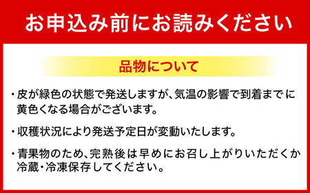 ムッチリ食感！沖縄県産アップルバナナ 1kg バナナ フルーツ 果物 無農薬 banana 沖縄市 / タカエス フルーツ＆ベジタブル[BCBH003]