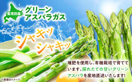 【5月上旬以降順次発送】 グリーンアスパラガス 1kg (S/露地栽培) アスパラ 野菜 [AJAM009]