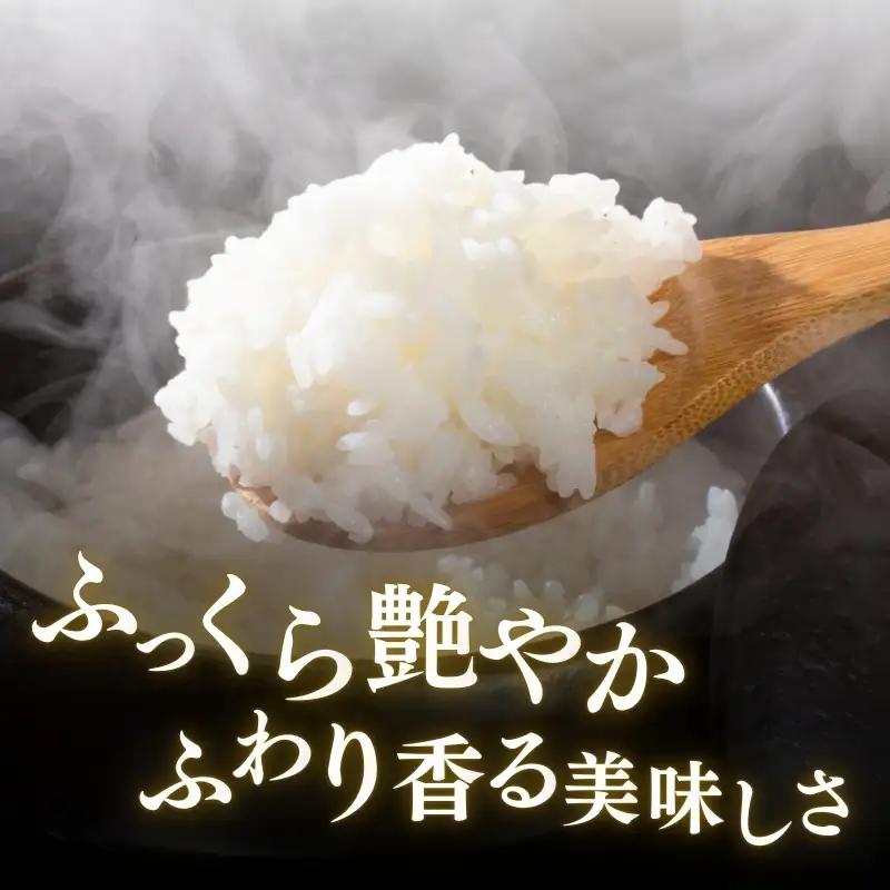 【定期便6か月】食味鑑定士厳選 コシヒカリ 無洗米 コシヒカリ 20kg
