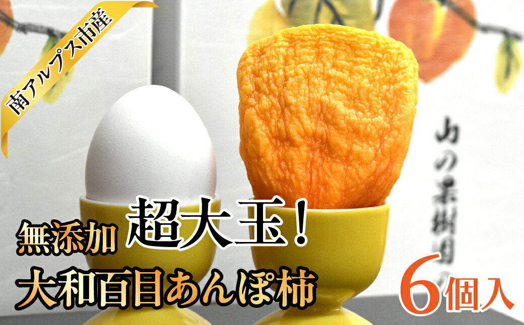 【ふるさと納税】＜2026年発送先行予約＞【無添加】超大玉！　大和百目あんぽ柿6個入 ALPAJ051