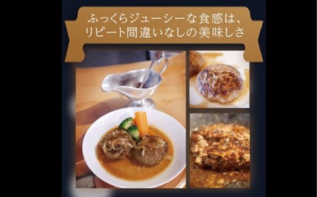 常陸牛入り ひまわりハンバーグ ハンバーグ120g×5個 オリジナルオニオンソース付き 常陸牛 ハンバーグ 手ごね 焼くだけでレストランの味 100% 無添加 黒毛和牛 牛肉 食べ物 冷凍 小分け 上