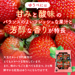 坂本いちご農園 ゆうべに 1㎏