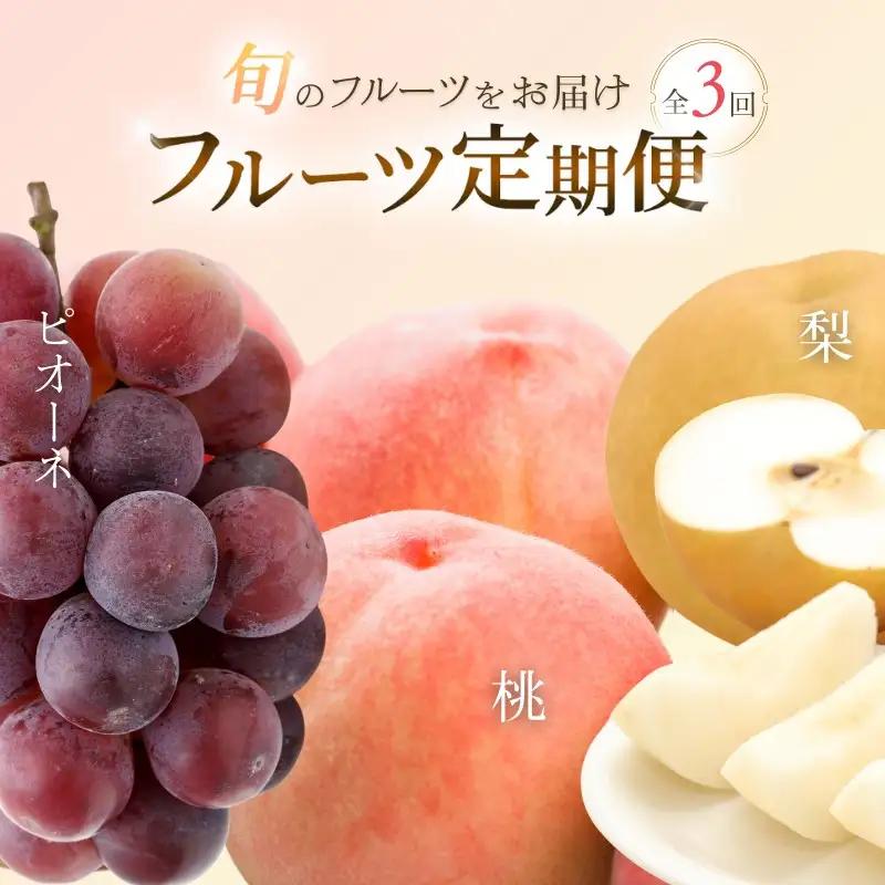フルーツ 定期便 フルーツ 3回 果物 和歌山【tkb114】