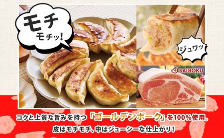 プレミアム 冷凍餃子 72個 SAIBOKU ぎょうざの満洲 タレ付き コラボ サイボク ゴールデンポーク ポーク 豚肉 国産 小麦粉 モチモチ 水餃子 冷凍調理 焼餃子 ゆで餃子 ギョウザ 夕食 お