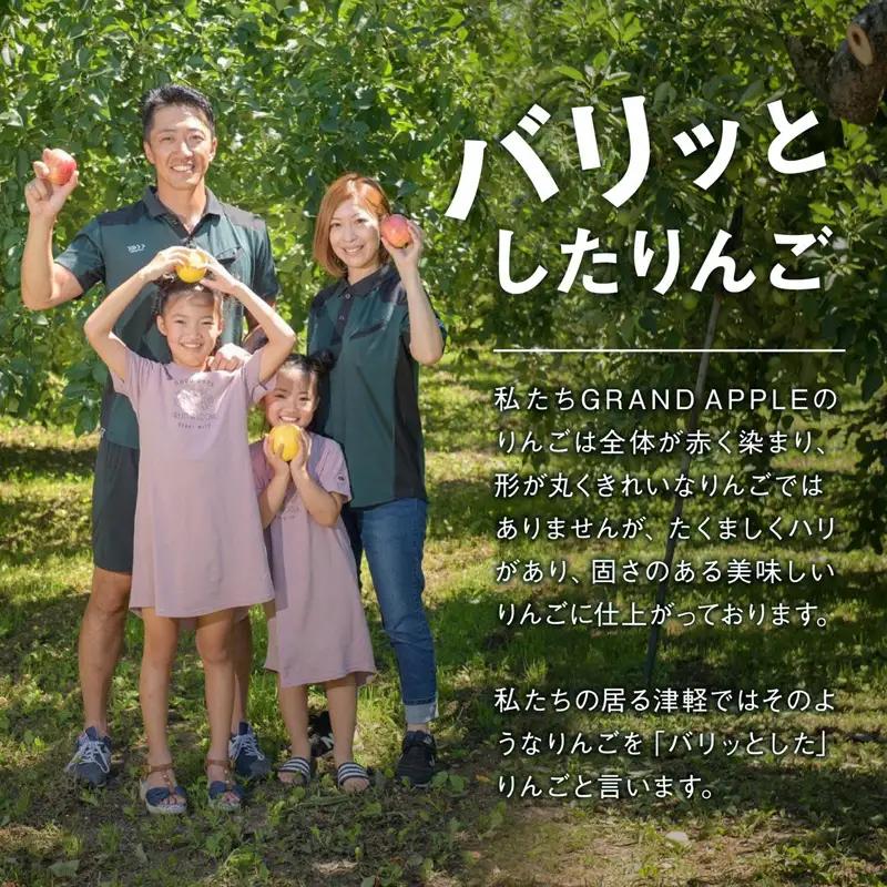≪先行予約≫ 葉とらず 紅玉 特A 家庭用 約5kg 【グランドアップル】 青森りんご F41-0031