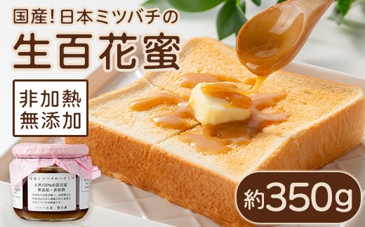 
            A96001 日本ミツバチ 生百花 蜂蜜(約350g) 岸良の至宝 豊かな自然の贈り物 貴重な生はちみつ！蜂蜜 ハチミツ はちみつ ハニー 蜜 国産 鹿児島 日本ミツバチ 生はちみつ 生蜂蜜 トースト ヨーグルト【ハニー工房　蜜乃蔵】
          