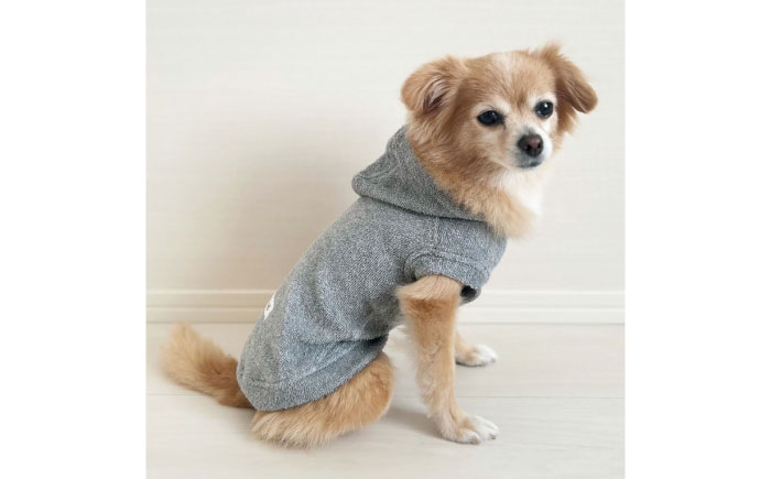 タオル地パーカー 杢グレー （ワンちゃん用）（SS/S/MM/Mサイズ） / ペット用品 / 佐賀県 / Canis Lupus [41AAAN010]