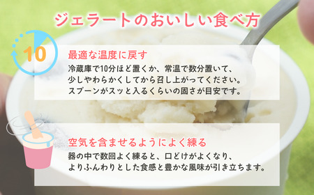 加賀の醤蔵 モチモチ豆大福ジェラート アイスクリーム ジェラート アイスクリーム ジェラート