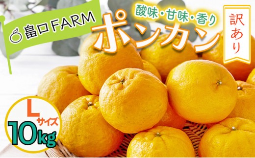 【先行予約】訳ありポンカン ＜10kg＞ Lサイズ