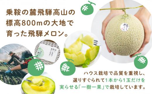 【先行受付】庄兵衛さん家のメロン1玉（7月下旬～順次発送）| メロン フルーツ 果物 アースメロン 箱入り 期間限定 数量限定 ギフト 贈答 人気 おすすめ お取り寄せ 飛騨高山 寺田農園 BN003