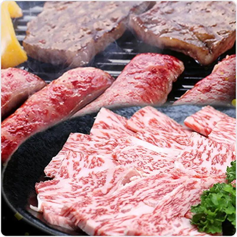 飛騨牛焼肉セット ロース カルビ A5 和牛 飛騨牛焼肉セット【計600g】