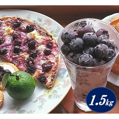 
                  冷凍ブルーベリー1.5kg:大粒完熟【1121929】
                