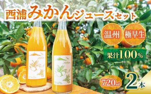 【先行予約_1月中旬発送】オレンジ ジュース ストレート 果汁 100％ 温州 極早生 みかん 720ml×2本 飲み比べ セット 西浦 蜜柑 濃厚 飲み物 ミカン 人気 贈答用 静岡 沼津