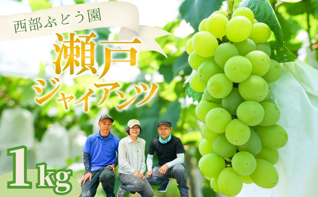 
            西部ぶどう園 瀬戸ジャイアンツ2房 約1kg｜ぶどう ブドウ マスカット 葡萄 薄皮 皮ごと 甘い フルーツ 果物 （※2025年8月中旬～10月初旬頃に順次発送予定 ※沖縄・離島への配送不可）
          