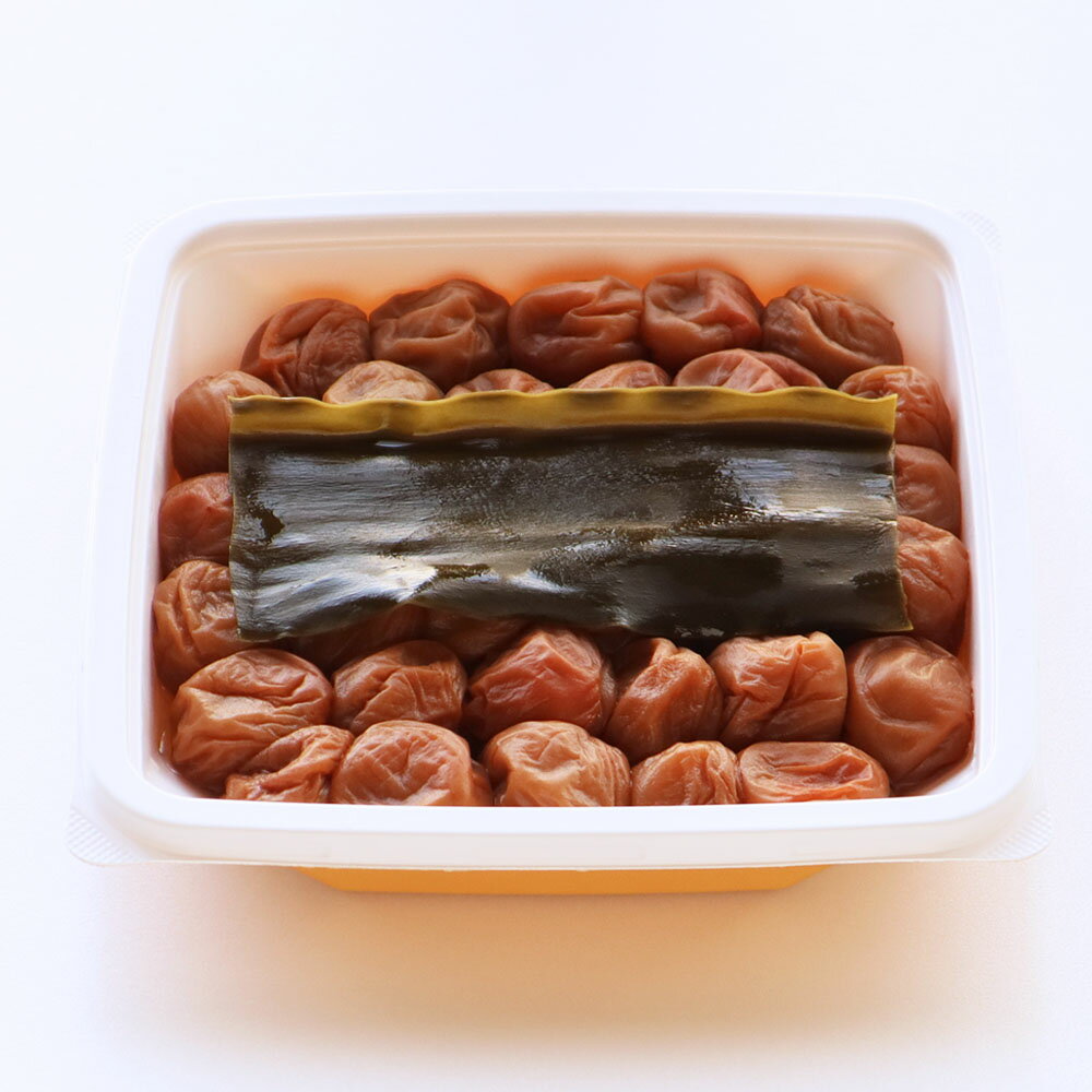 【ふるさと納税】 こんぶ梅（紀州南高梅）塩分8%　550g | 梅干し 梅干 紀州南高梅 南高梅 梅 ウメ うめ
