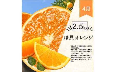 定期便【全4回/1・2・3・4月】旬の柑橘定期便 / みかん ミカン 柑橘 オレンジ 果物 くだもの フルーツ フルーツ定期便 和歌山【tkb416】