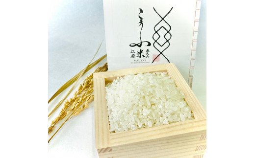 【令75年産】奥大山江府米コシヒカリ ３kg×1 /  プレミアム 特別栽培 こめ こしひかり 研究 精米 3ｷﾛ　0624