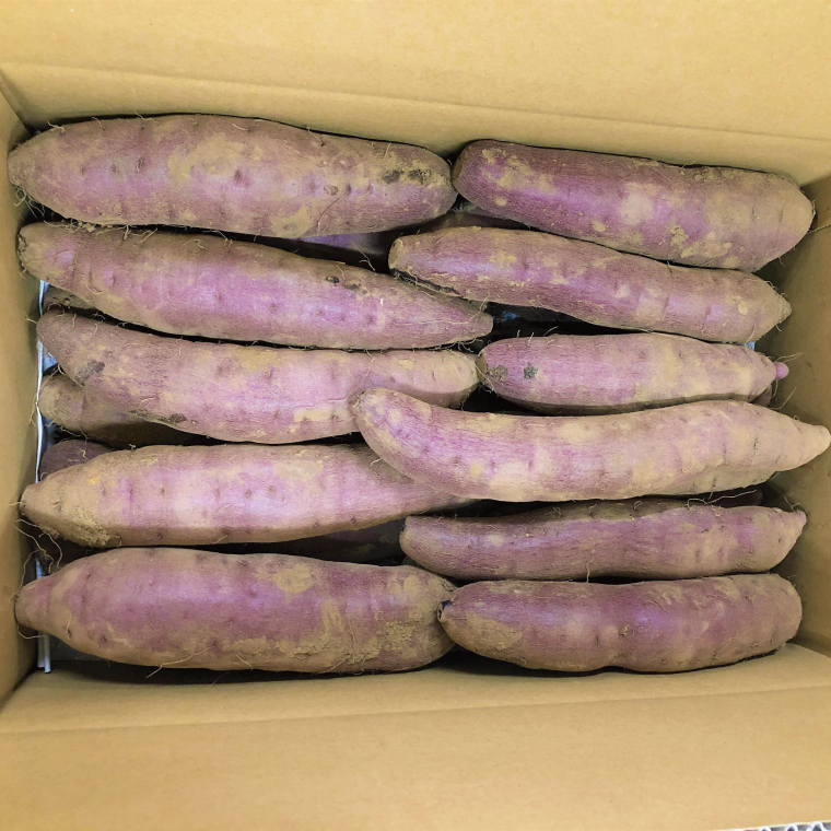 04-10【先行予約】茨城県阿見町産 さつまいも 紅はるか 5kg×1【サツマイモ 生芋 べにはるか 阿見町 茨城県】