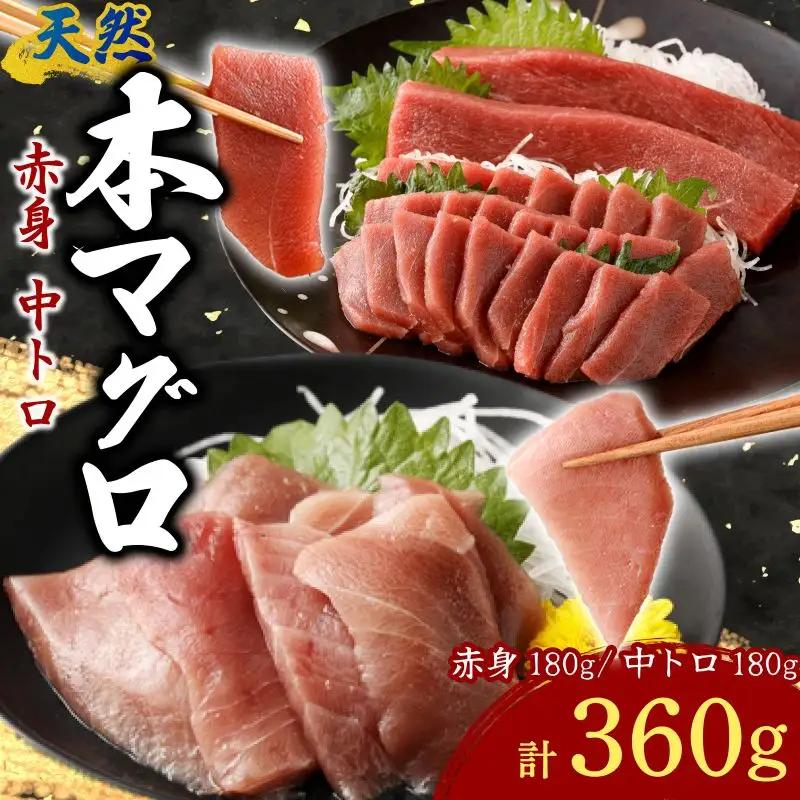 天然本マグロ切り落とし360g 【まぐろ】tk188