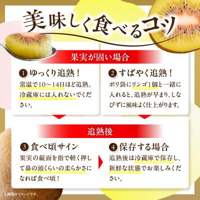 ふるさと納税 三木町 さぬきエンジェルスイートキウイ(小玉)約2kg |  | 02