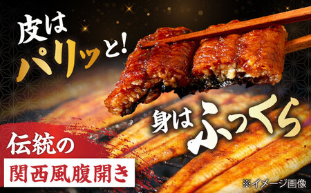 国産活うなぎ2尾（蒲焼）[AQDF007]鰻鰻鰻鰻鰻鰻鰻うなぎうなぎうなぎうなぎうなぎうなぎ