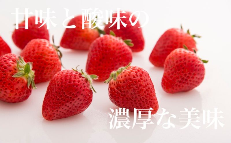 先行予約価格[2026年1月上旬より順次お届け]空浮いちご 4パック「北海道・沖縄・離島へのお届け不可」 果物 フルーツ 姫路市産 ハウス育ち デザート おやつ 食後 お菓子作り ケーキ作り