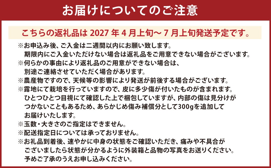 【先行受付】特別栽培河内晩柑 7kg サイズミックス 特別栽培 河内晩柑 柑橘 晩柑 ばんかん バンカン フルーツ 果物 果実 九州産 熊本県産【2027年4月上旬～7月上旬発送開始】