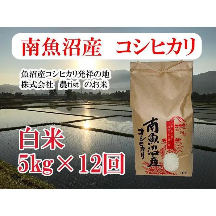 【令和8年 新米】【定期便 南魚沼産】コシヒカリ 白米5kg×12回｜コシヒカリ