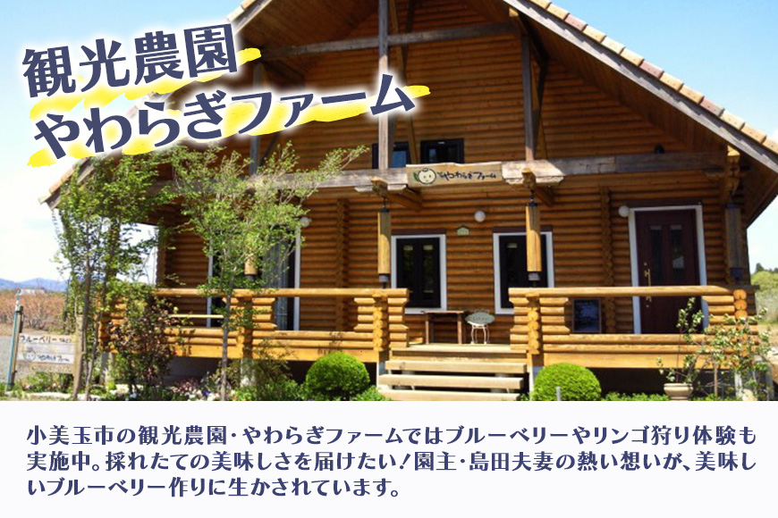 果汁50％ブルーベリー飲料2本＆ブルーベリージャム3個セット