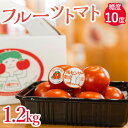 【ふるさと納税】フルーツトマト糖度10度　1.2kg※2024年1月上旬～4月下旬頃に順次発送予定◇