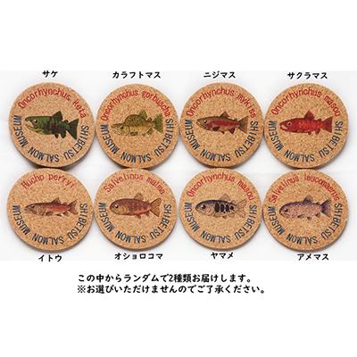 ふるさと納税 標津町 標津サーモン科学館グッズセットD |  | 03