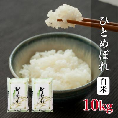 ふるさと納税 酒田市 ひとめぼれ　5kg×2袋　計10kg　精米