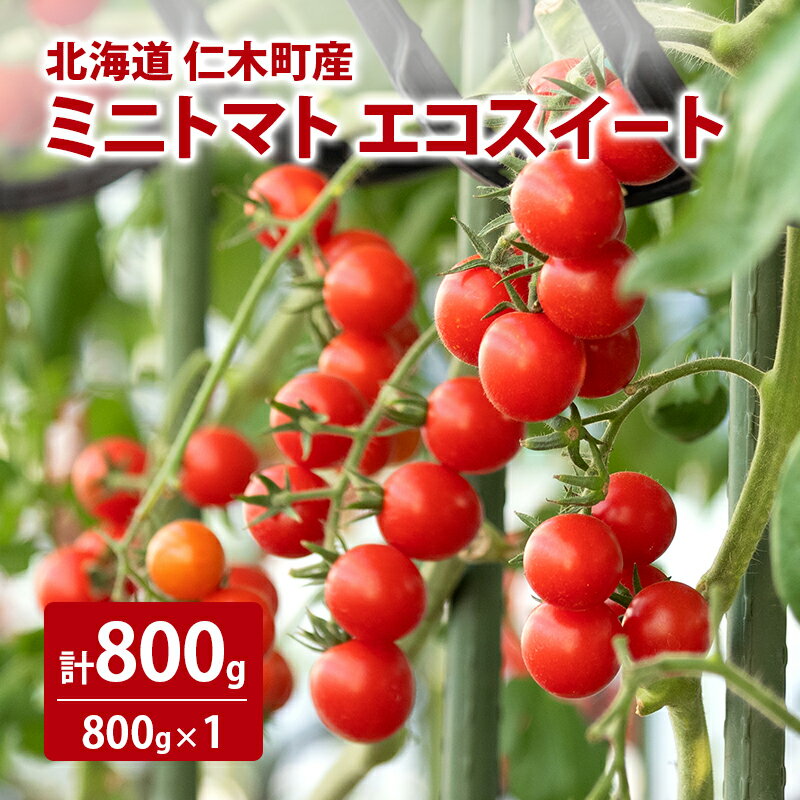 【ふるさと納税】北海道 仁木町産 ミニトマト エコスイート 800g [林果樹園]【トマト ミニトマト エコスイート 高糖度 フルーツトマト 赤 サラダ パスタ スープ 常備菜 産地直送 旬 健康 リコピン ビタミンC 美容】　お届け：2025年8月下旬～10月上旬まで