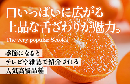 せとか家庭用（1kg） [K003710K1] 人気商品 国産 高級フルーツ 人気商品 みかん 柑橘 フルーツ 果物 乃万青果 のま果樹園 せとか 高級柑橘