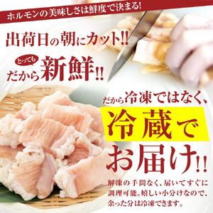 国産 黒牛 極み シマチョウ テッチャン 1.2kg 附属タレ付き