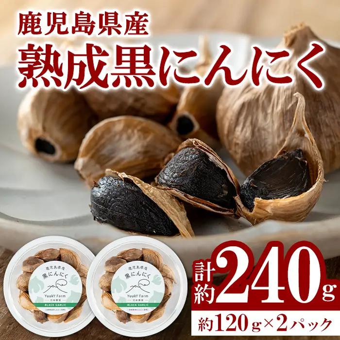 【A93002】農家直送 鹿児島県産 熟成 黒にんにく(計約240g・約120g×2パック) 鹿児島 国産 ニンニク 大蒜 ガーリック 野菜 薬味 発酵 小分け【悠希農園】